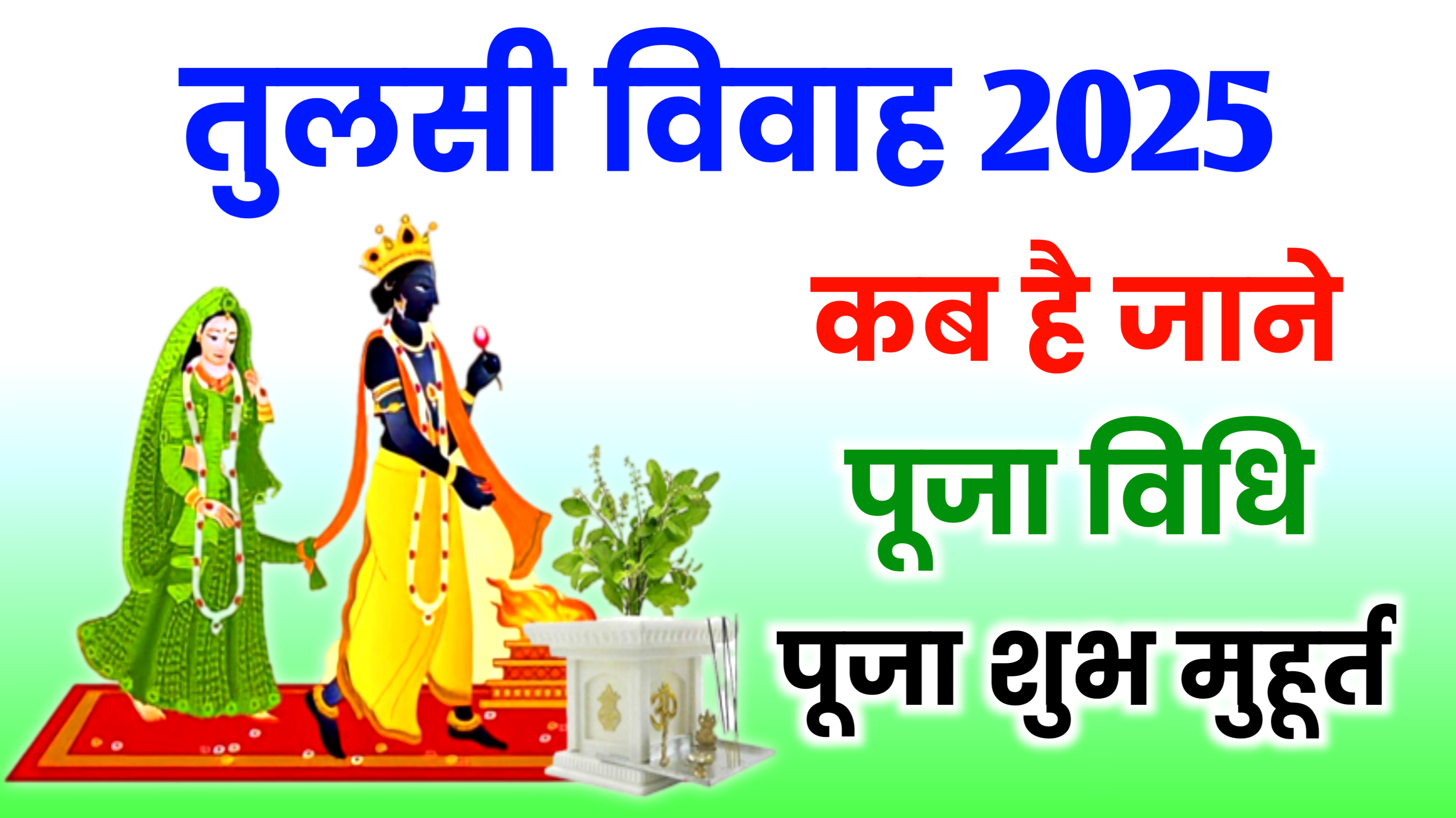 Tulsi Vivah 2025: नवम्बर 2025 में तुलसी विवाह कब है? जाने पूजा शुभ मुहूर्त, पूजा विधि व महत्व